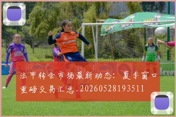 法甲转会市场最新动态:夏季窗口重磅交易汇总_20260528193511