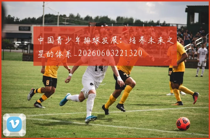 中国青少年排球发展:培养未来之星的体系_20260603221320